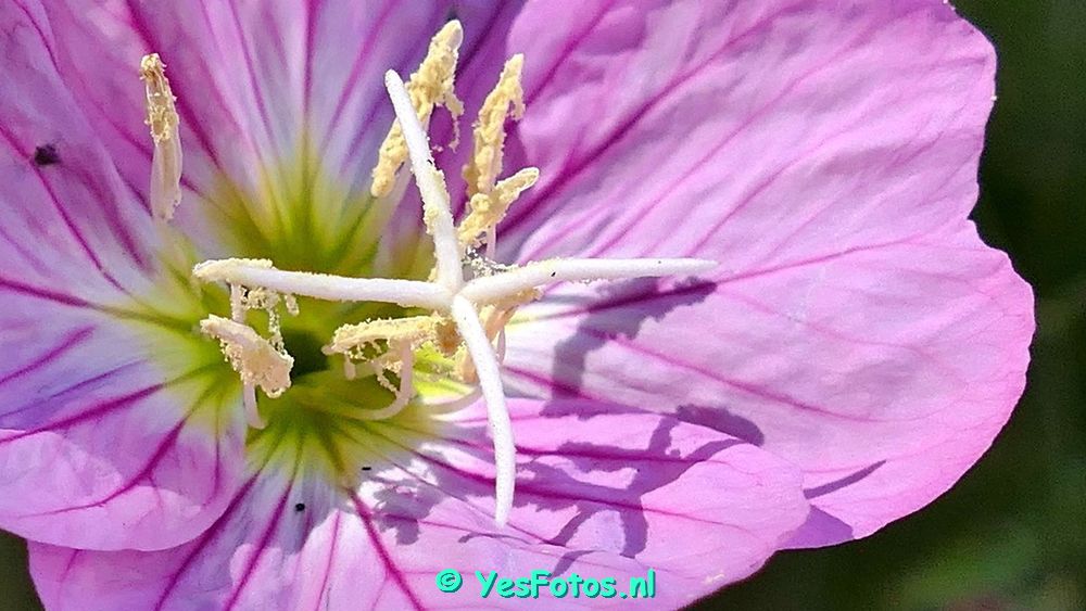 xxx From Montpellier to Gignac